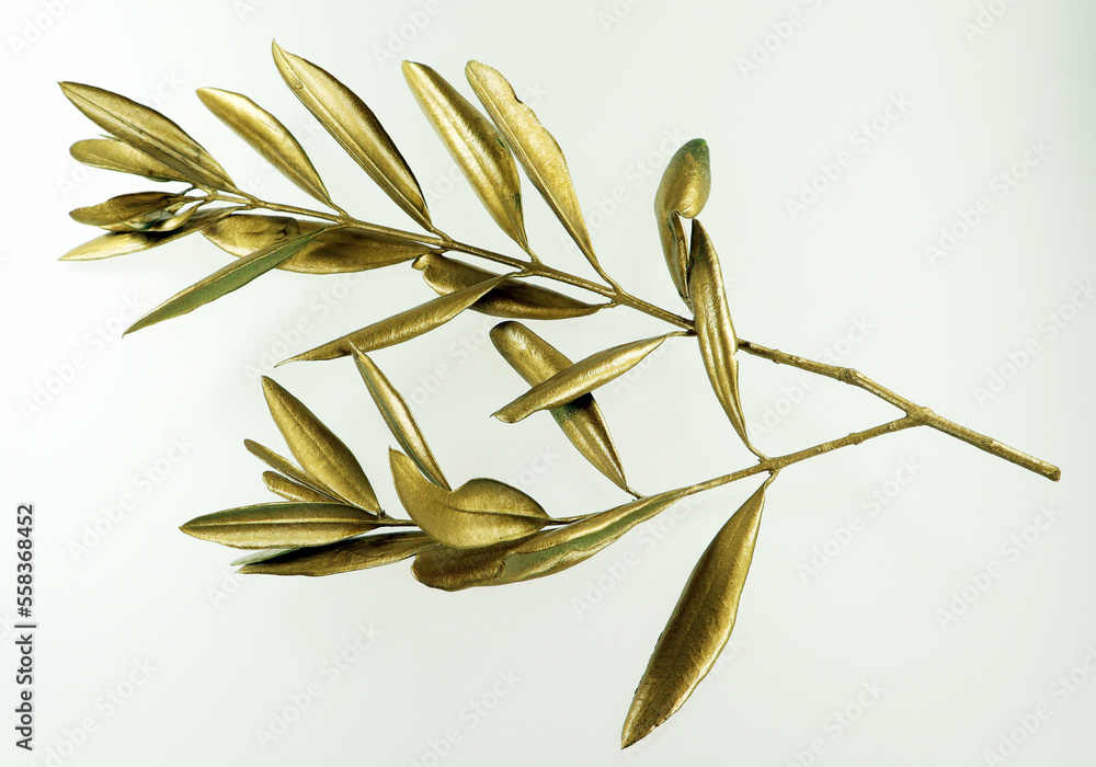 Wall mural golden olive branch isolated on white background macro close up. gold olive leaves.