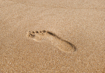Fototapeta na wymiar Footprint from a bare foot on the sea coast