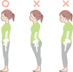 女性の良い姿勢と悪い姿勢の見本_骨盤