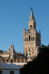Fototapeta na wymiar Cathedral in Seville Spain