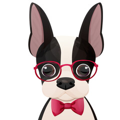 Boston terrier cool puppy with glasses and bow portrait in cartoon style isolated on white background. Cute dog, print design