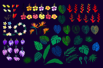 Set of Tropical leaves and flower. Plant Monstera, palm, fern leaves. Floral Plumeria, Strelitzia, Heliconia, Hibiscus, Passion fruit hand drawn vector illustration