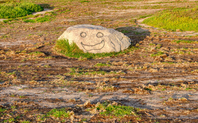 Smiley rock