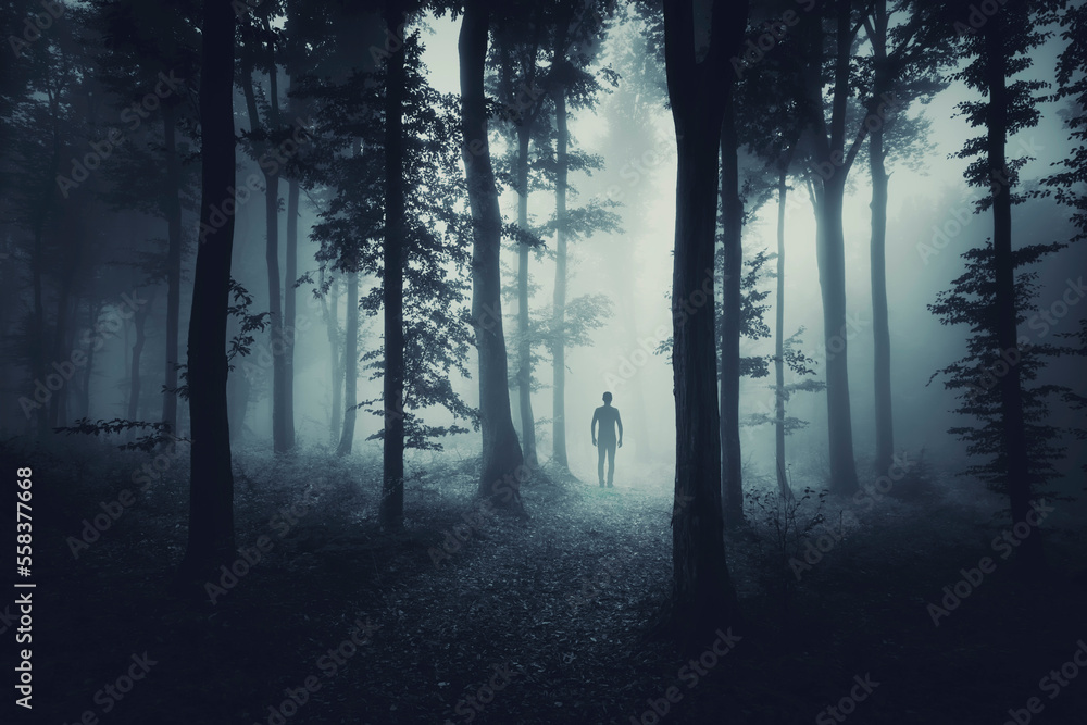 Wall mural mysterious man silhouette in dark fantasy forest