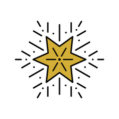 Isolated vector Star Icon on white background. Gold Star with black outlines and rays. Christmas winter sign. Modern design for decorations, greeting cards, packaging design, fashion banners, and web.