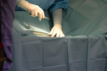 Kolik Operation beim Pferd, Details