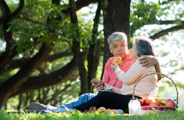 Happy old elderly couple spouses relaxing and sitting on a blanket in the park and sharing few precious memories. Senior couple having great time together on a picnic. concept of mature relationships
