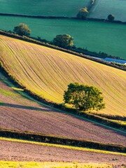 Fields and Farms over Devon, England, Europe	