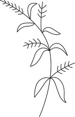 Leaves and flowers line art Contemporary floral design