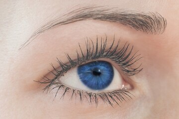 Obraz premium Beautiful blue eye, colorful contact lenses