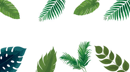 Vector set of tropical leaves. Hand drawn Palm leaves illustration in watercolor vector set