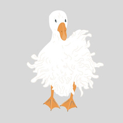 Cute Sebastopol goose. Cartoon vector illustration isolated on grey background.