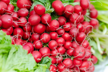 Bunches of fresh radish sold on farmer's market