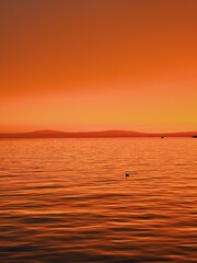 Fototapeta premium Ocean sunset