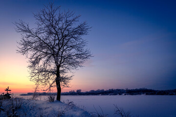 Fototapeta na wymiar Winter landscape with tree and river, trees covered snow and sunrise. Winter morning of a new day.