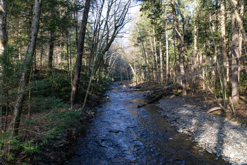 View down the center of a mountain stream in a fall winter landscape, early morning light, horizontal aspect