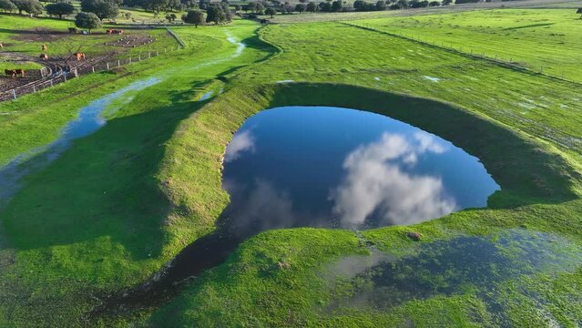 Pool of water in the holm oak meadow between Zamayon and Valdelosa. Aerial view from a drone. Charro Field. Salamanca. Castile and Leon. Spain. Europe