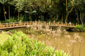 Ponte de madeira sobre um lago no Templo Zu Lai, Cotia, São Paulo, Brasil.