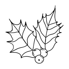 Vector black and white illustration of a holly with berries on a white background. Isolated object for your design.