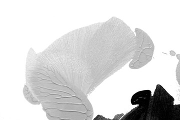 black white abstract acrylic painting color texture on white paper background by using rorschach inkblot method