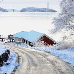 The Bay