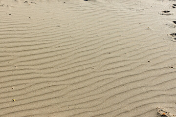 Sand. Texture, surface of sea sand. Bird tracks. Natural background. Waves of sand. Sea background. View from above. Dunes. Copy space