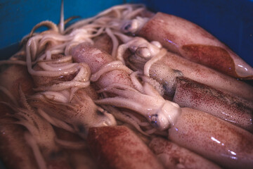 A pile of fresh squid sells at the seafood market