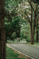 Obraz premium Walking from the distance