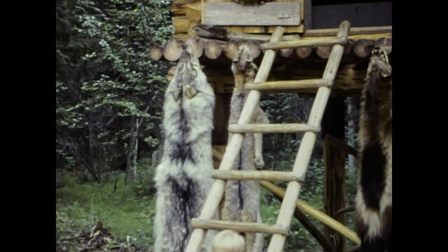 United States 1987, Dead animals hunted hanging outdoors