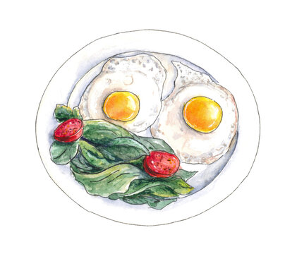 Fried eggs with salad on a plate. Watercolor illustration on a white background.
