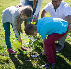 Family parents and children planting tree sapling in summer park