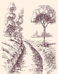 Stream bed and forest landscape hand drawing - 558413462