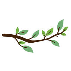 tree branch twigs with leaves