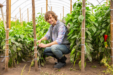 Cheerful vegetable grower working in the greenhouse