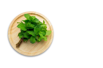 Medicinal Mint Leaves on white Background