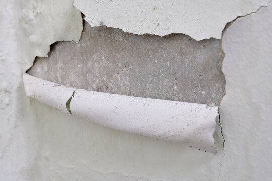 A layer of white paint peeling from a concrete wall due to effects of weather and damp conditions. Pieces of wall paint falling off after cracking open and breaking from the surface. Closeup view.