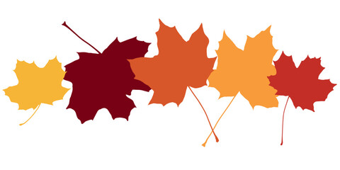 Set with five leaves from the maple tree