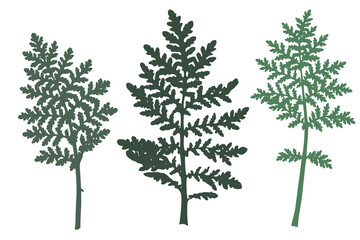 Set with the three phacelia leaves imprints