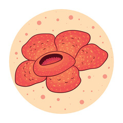 hand drawn rafflesia arnoldii flower