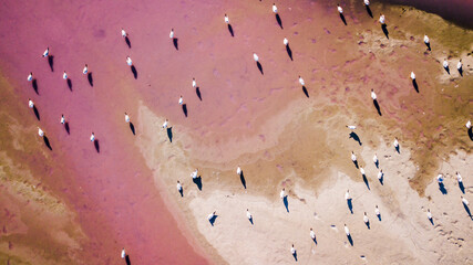 Scenic colorful Pink Salt Lake in Ukraine. unusual color cause of an algae with red pigments. Amazing seascape.