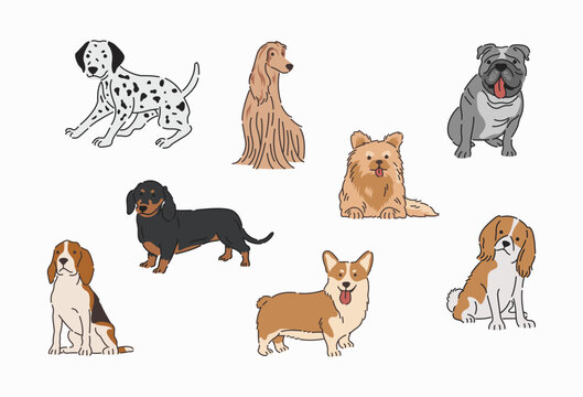 Dogs vector in flat design