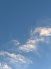 Proyección de la altura