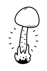 cep mushrooms icon