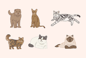 Fototapeta na wymiar Cute Cats in flat design