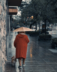 person walking in the rain