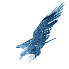 deepsea eagle hunting down on white background