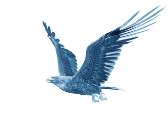 deepsea eagle hunting on white background with