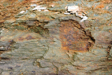 A brown and orange sedimentary rock containing sulfur and pyrite