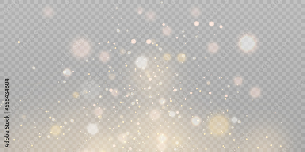 Poster transparent sunlight special light effect of glare of shimmering particles falling on the stage for 