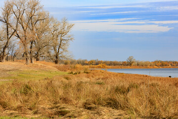 trees along the river in autumn